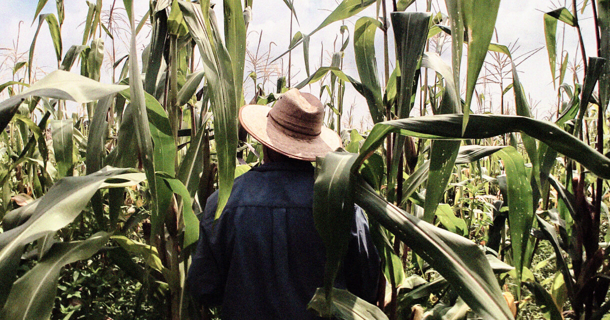 Man on a farm.